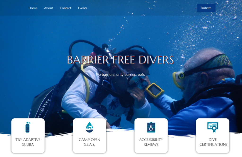 Example of accessible website design