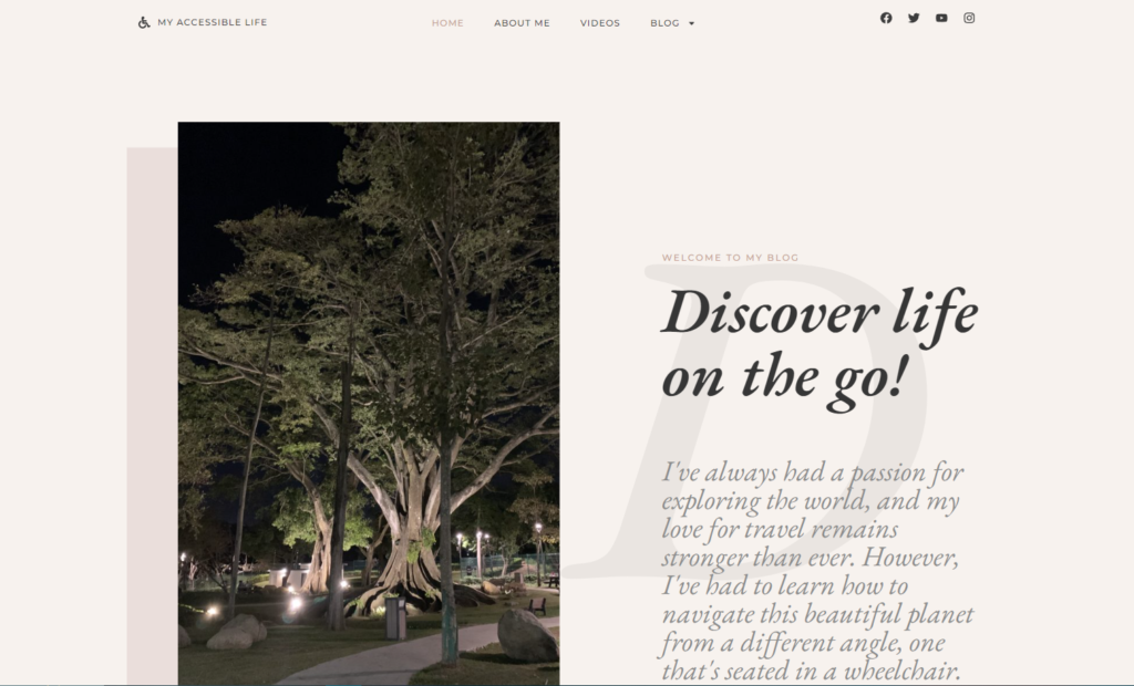 Accessible website design